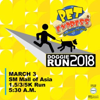 Pet Express Doggie Run 2018