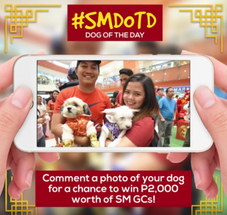 SM Dog of the Day