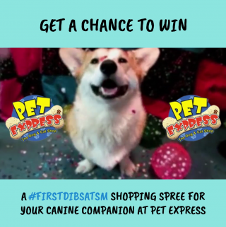 Pet Express Promo