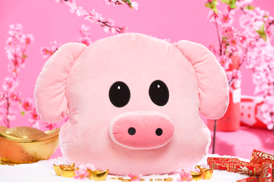 year_of_the_pig_sm_accessories_kids_toy_kingdom1.jpg
