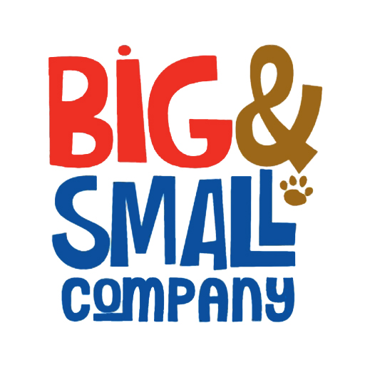 THE BIG SMALL CO
