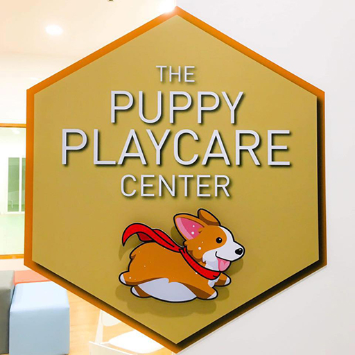 THE PUPPY PLAYCARE CENTER