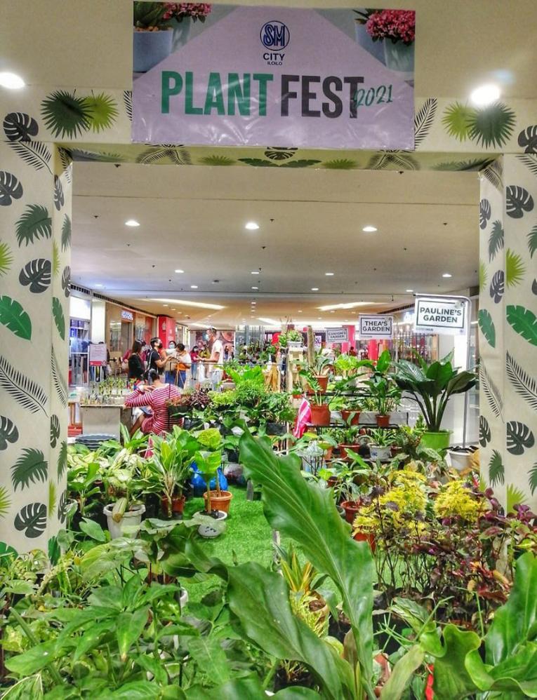 Plant Fest