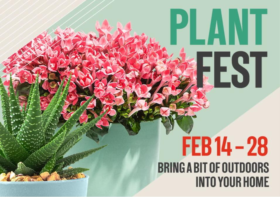 #PlantFestAtSM: February 14 to 28, 2021