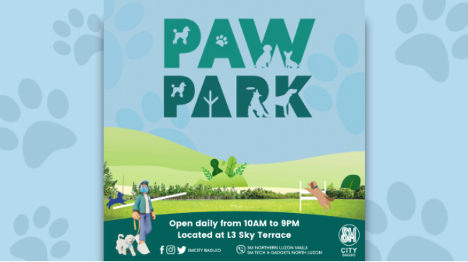Paw Park | FAQs - SM City Baguio