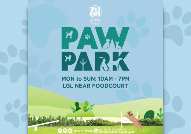 Paw Park | FAQS - SM City Tarlac