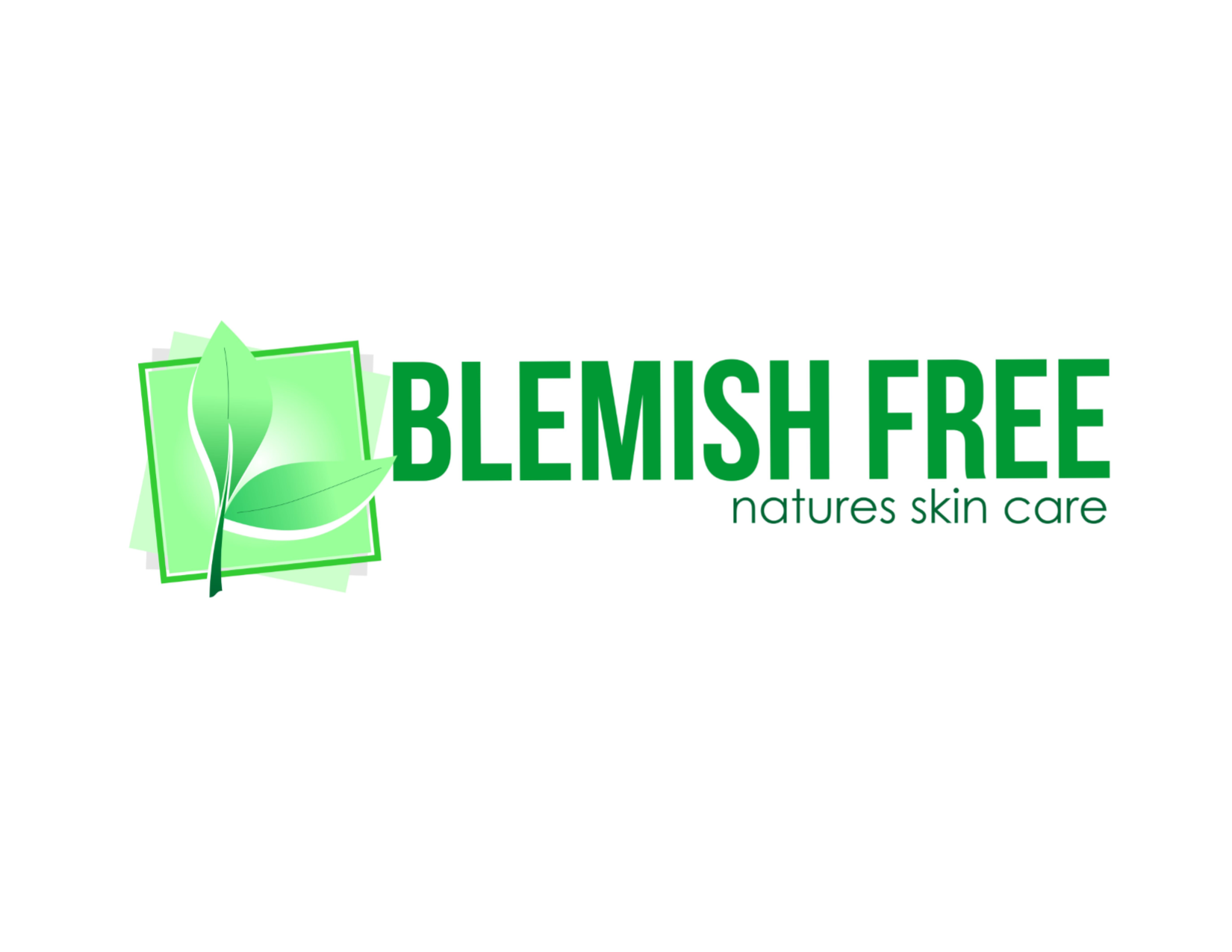 BLEMISH FREE NATURES SKIN CARE