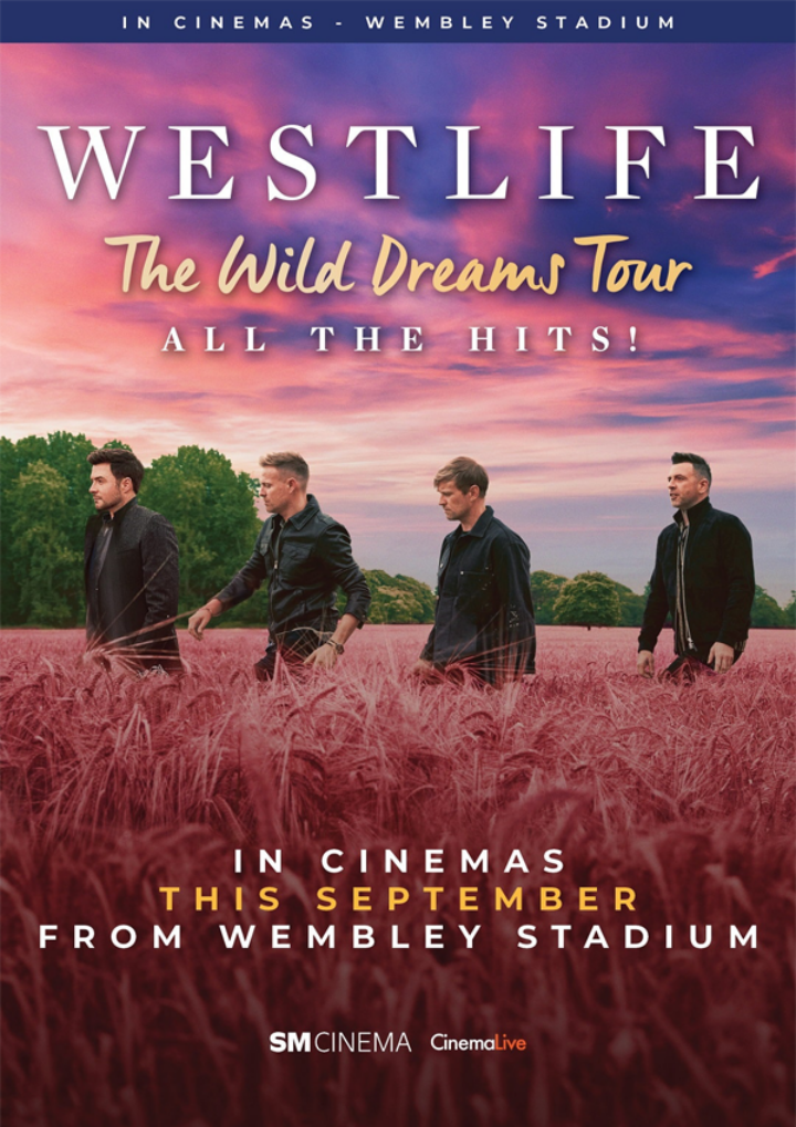 Westlife The Wild Dream Tour All The Hits!
