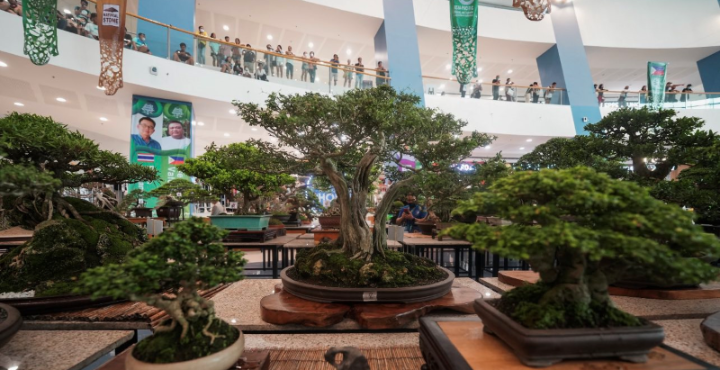  THE GRANDEST BONSAI EXHIBIT AT THE SM MALL OF ASIA