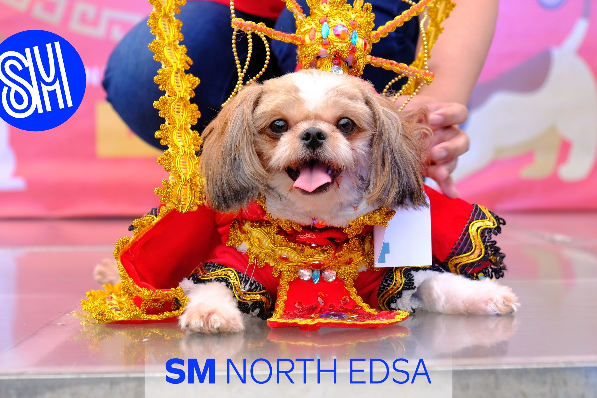 It’s Paw-ssible! These Restos At SM Supermalls Are Pet-Friendly